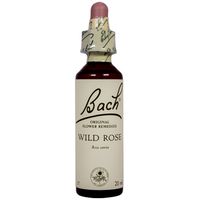 Bach Flower Remedy Wild Rose